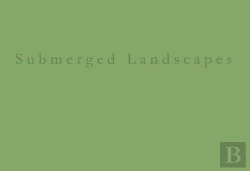 Bertrand.pt - Submerged Landscapes: A Pinhole Photographic Tale
