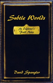 Subtle Worlds: An Explorer'S Field Notes