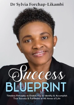 Bertrand.pt - Success Blueprint