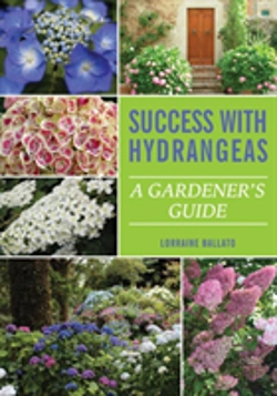 Bertrand.pt - Success With Hydrangeas