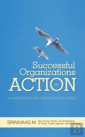 Successful Organizations In Action