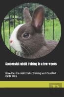 Successful Rabbit Training In A Few Weeks