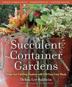 Bertrand.pt - Succulent Container Gardens