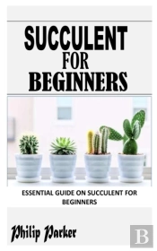Succulent For Beginners