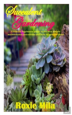 Bertrand.pt - Succulent Gardening