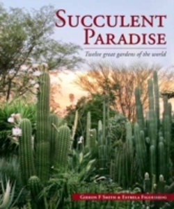 Bertrand.pt - Succulent Paradise