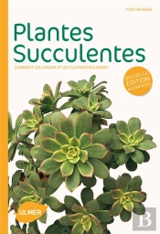 Succulentes