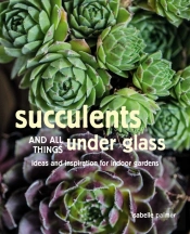 Succulents And All Things Under Glass