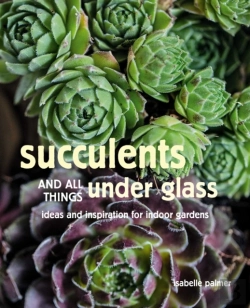 Bertrand.pt - Succulents And All Things Under Glass