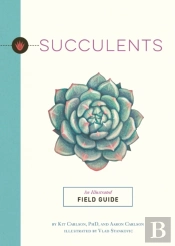Succulents