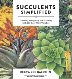 Bertrand.pt - Succulents Simplified