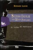 Sucesso Escolar nos Meios Populares