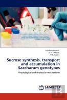 Sucrose Synthesis, Transport And Accumulation In Saccharum Genotypes