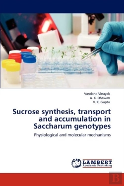 Bertrand.pt - Sucrose Synthesis, Transport And Accumulation In Saccharum Genotypes