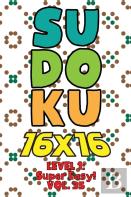 Sudoku 16 X 16 Level 1