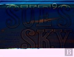 Sue'S Sky