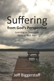 Suffering From God'S Perspective