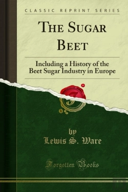 Bertrand.pt - Sugar Beet