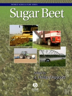 Bertrand.pt - Sugar Beet