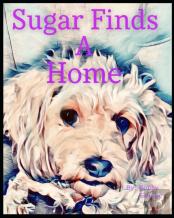 Sugar Finds A Home
