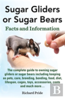 Sugar Glider Or Sugar Bear