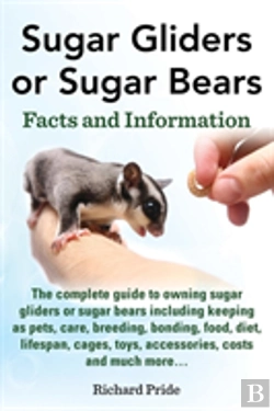 Bertrand.pt - Sugar Glider Or Sugar Bear