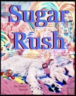 Bertrand.pt - Sugar Rush