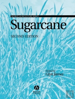 Bertrand.pt - Sugarcane