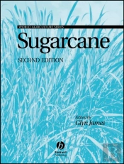 Sugarcane