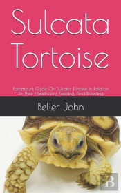 Sulcata Tortoise