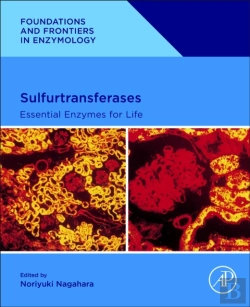 Bertrand.pt - Sulfurtransferases