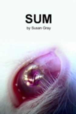 Bertrand.pt - Sum