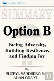 Summary Of Option B