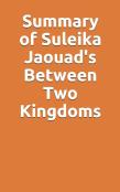 Summary Of Suleika Jaouad'S Between Two Kingdoms