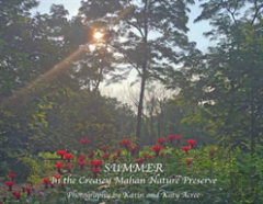 Summer In The Creasey Mahan Nature Preserve