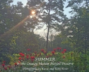 Summer In The Creasey Mahan Nature Preserve