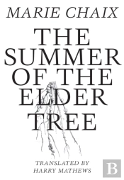 Summer Of The Elder Tree