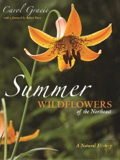Summer Wildflowers Of The Northeast