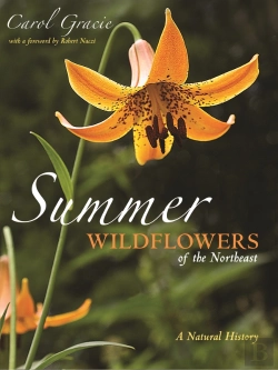 Bertrand.pt - Summer Wildflowers Of The Northeast