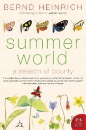 Summer World
