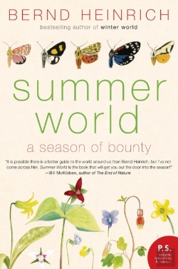 Bertrand.pt - Summer World