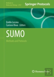 Sumo