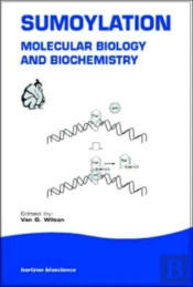 Sumoylation