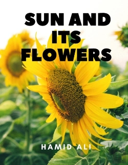 Bertrand.pt - Sun And Its Flowers