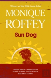 Sun Dog