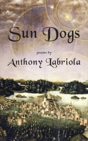Sun Dogs