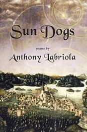 Sun Dogs