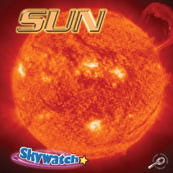 Bertrand.pt - Sun