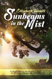 Sunbeams In The Mist