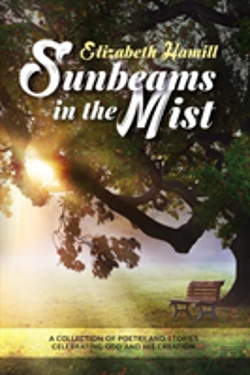 Bertrand.pt - Sunbeams In The Mist